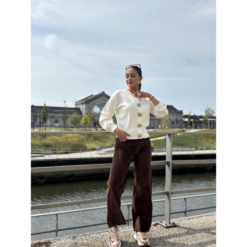 Pantalon en velours côtelé choco Azalee